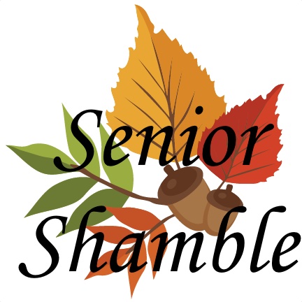 senior shamble fall